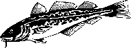 poisson-06