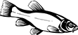 poisson-07