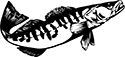poisson-10