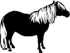 poney