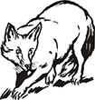 renard