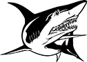 requin