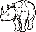 rhinoceros