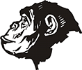 singe