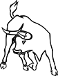 taureau