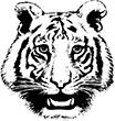 tigre-01