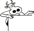 vache-01