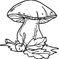 champignon