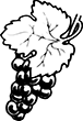 raisin-03
